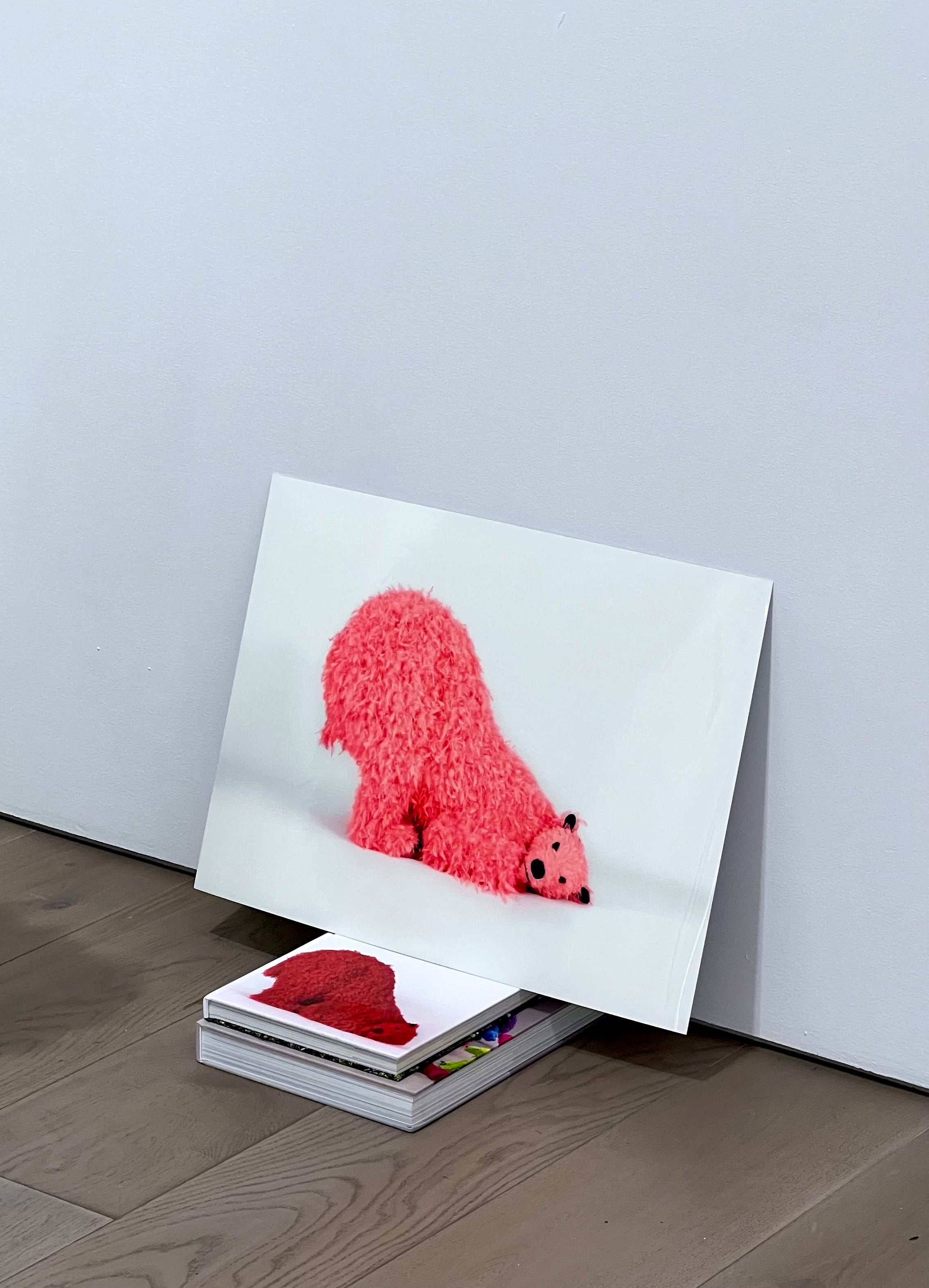 PAOLA PIVI  A beautiful photo of "?", 2023