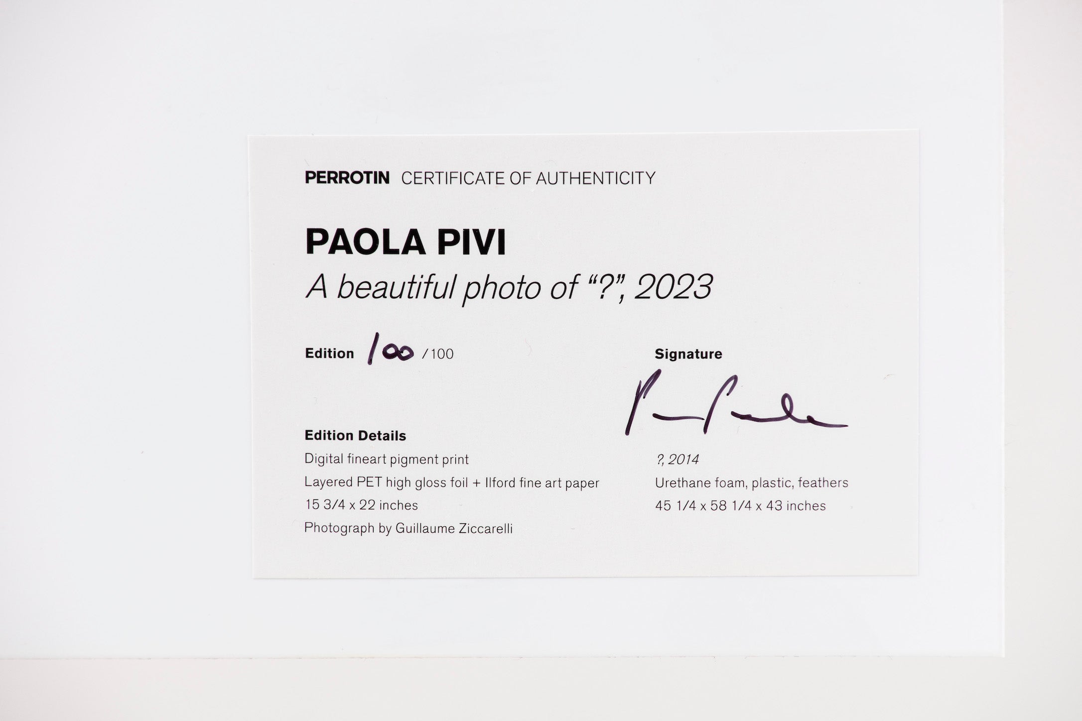 PAOLA PIVI  A beautiful photo of "?", 2023