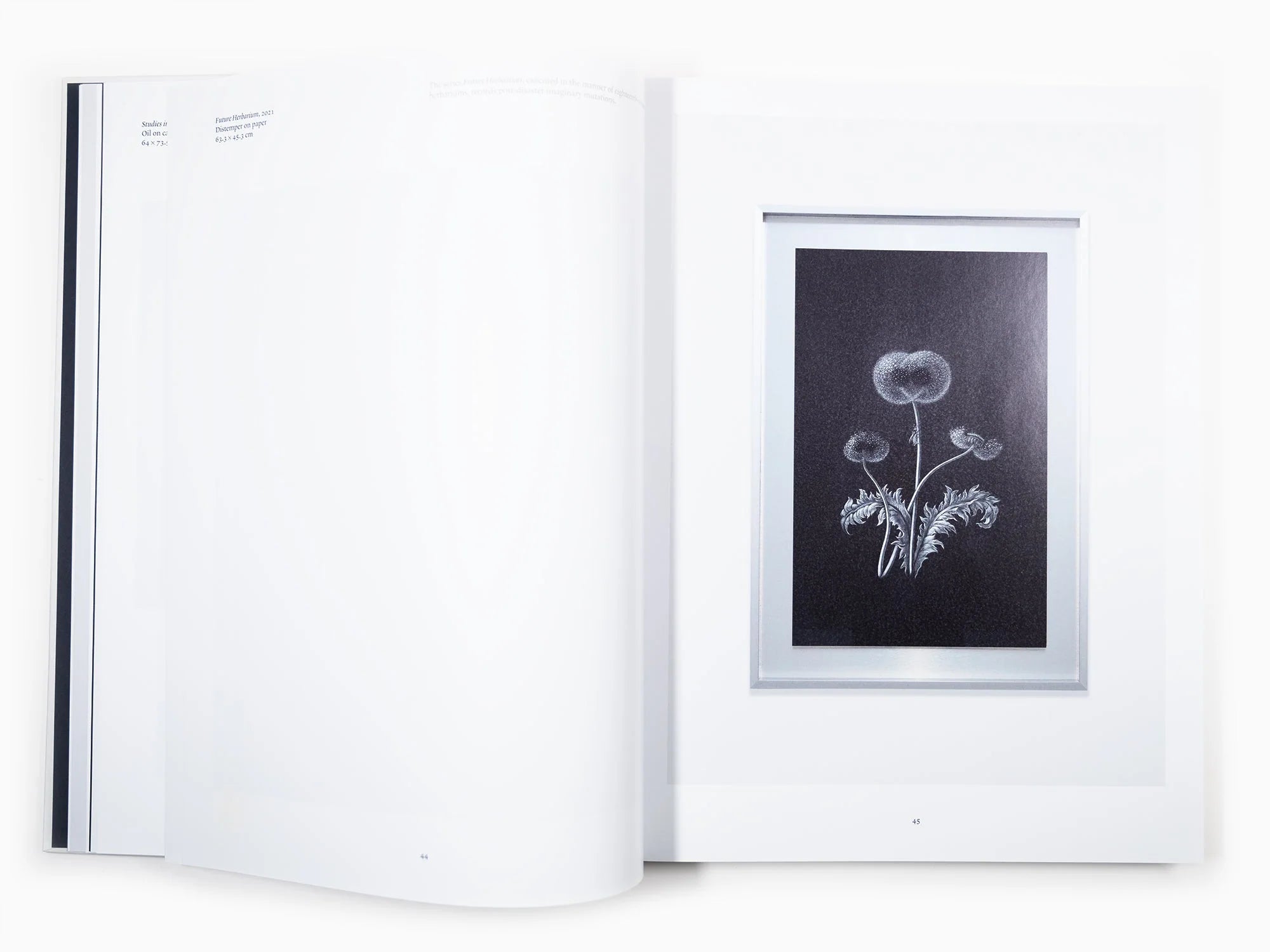 LAURENT GRASSO - TIME TRAVEL