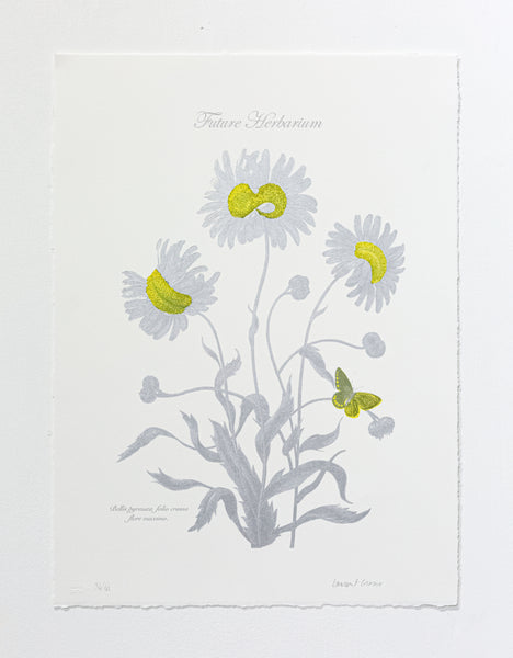 Laurent Grasso - Future Herbarium Yellow